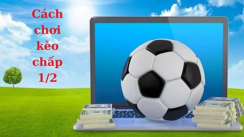 Hiểu rõ cách tính tiền trong kèo chấp nửa trái là gì